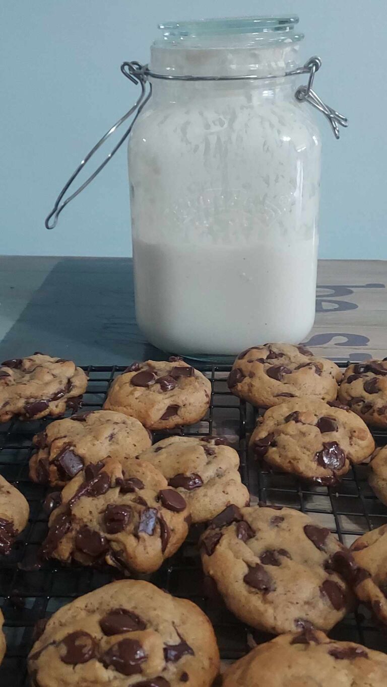 Looking For An Easy Sourdough Chocolate Chip Cookies?